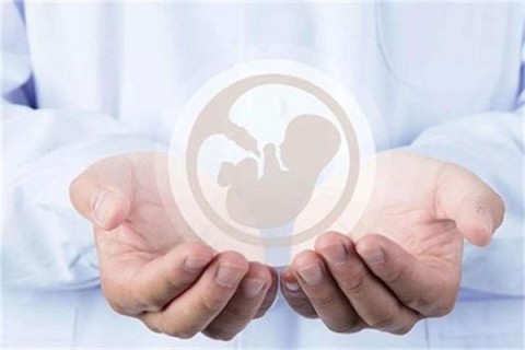 http://foshan.hy-ly.com/post/203.html|佛山试管助孕
