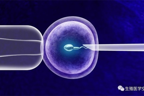 女人佛山代生孩子的最佳年龄段 一辈子生几个孩子最好